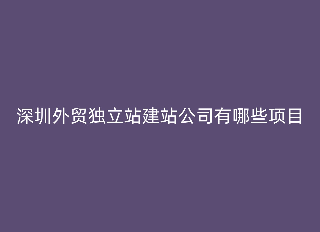 深圳外贸独立站建站公司有哪些项目