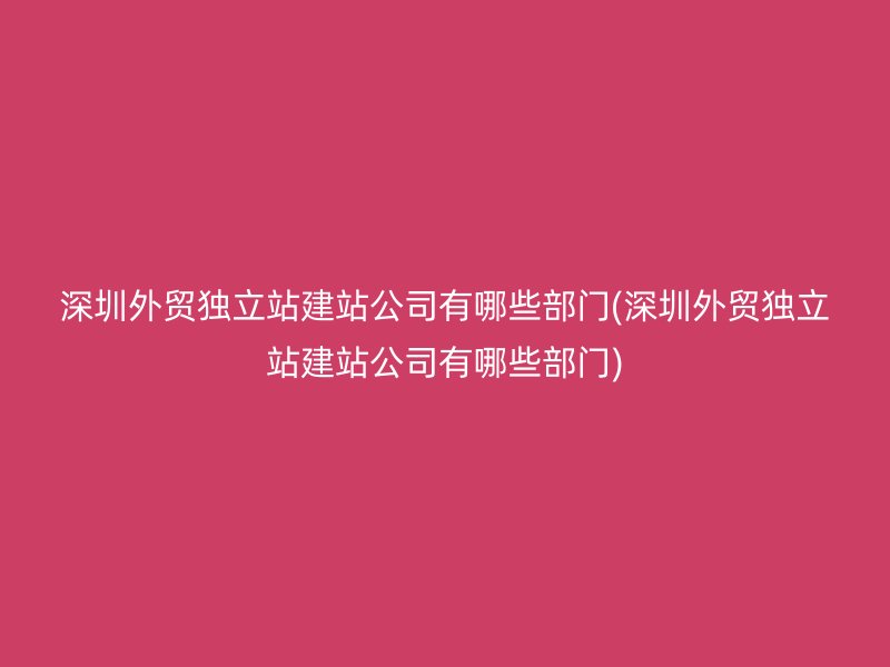 深圳外贸独立站建站公司有哪些部门(深圳外贸独立站建站公司有哪些部门)